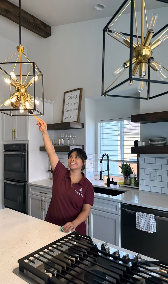 hartmann cleaning dusting light